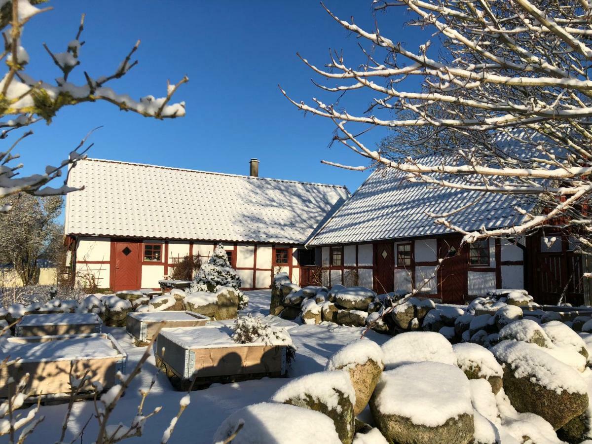 Villa Kattalaengan Brösarp Exterior foto